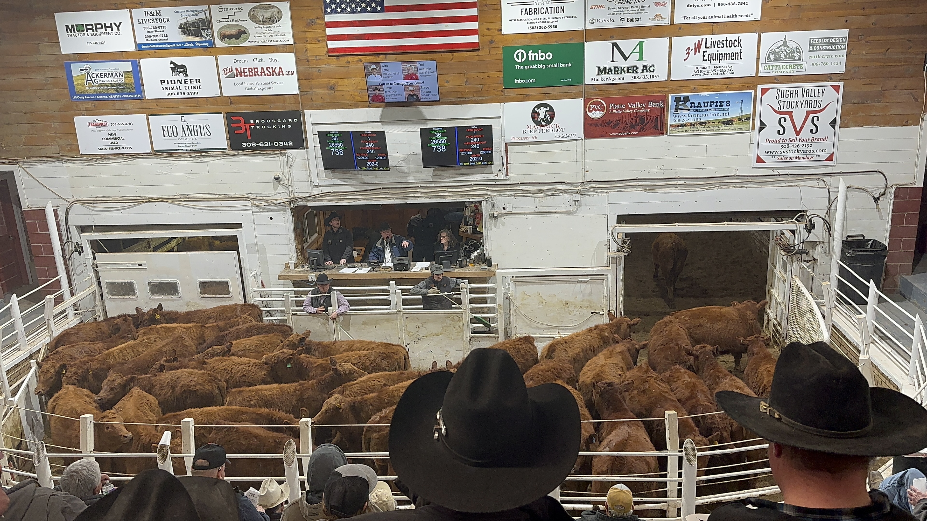 Cattle sale