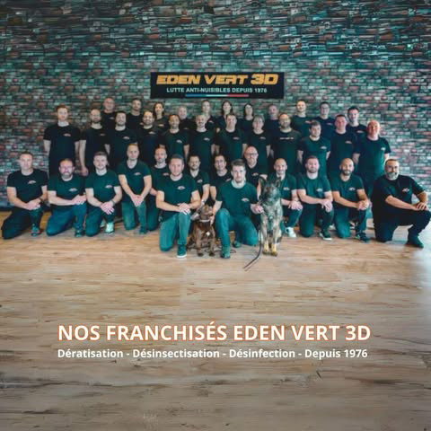 Équipe Eden Vert 3D - Image 5