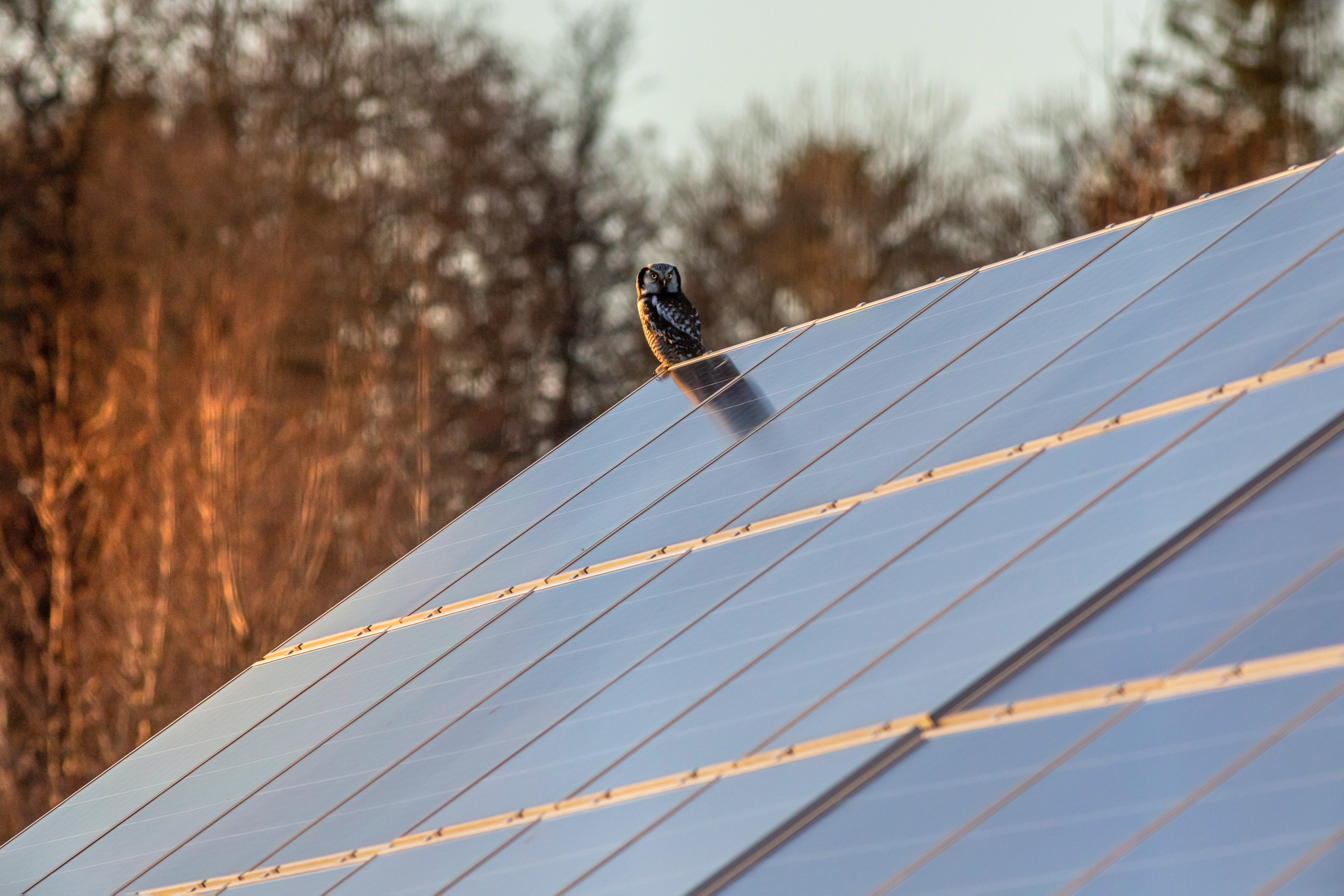 How Does a Solar Panel CRM Work to Increase Sales and Grow Your Business?