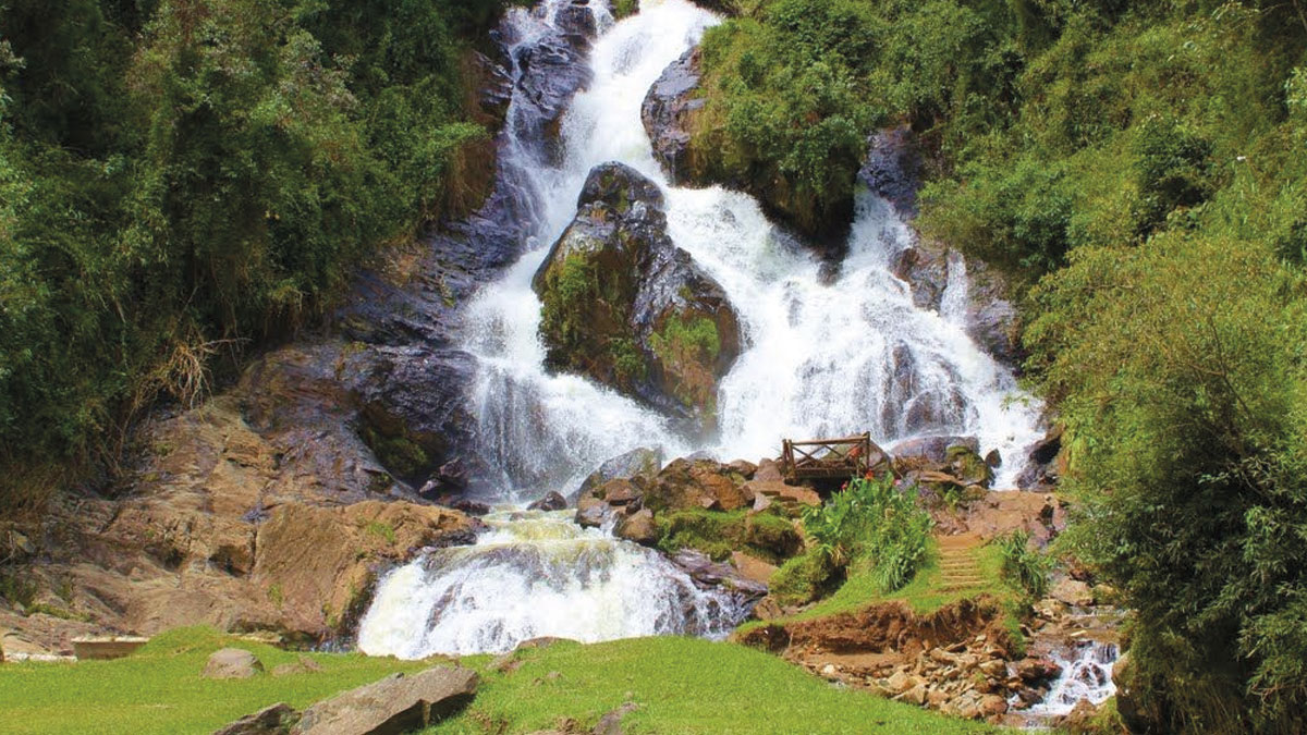 Paisaje 1