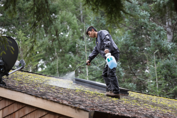 The Relationship Between Moss and Roof Leaks