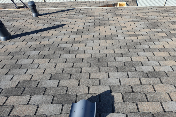 Is Your Roof Past its Prime? What to Look For