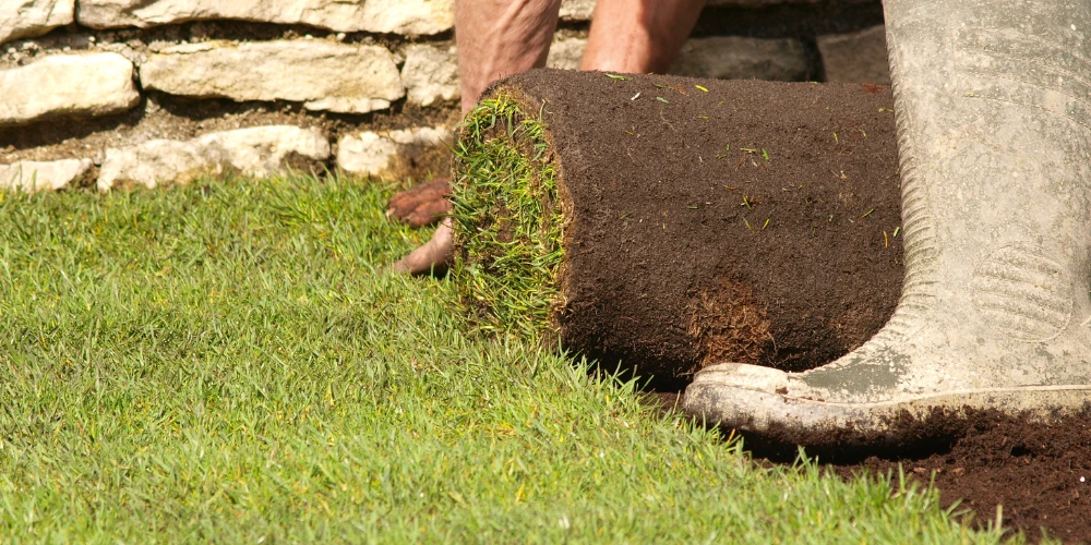 A person in gumboots laying fresh turf to create a new lawn. A person in gumboots laying fresh turf to create a new lawn.