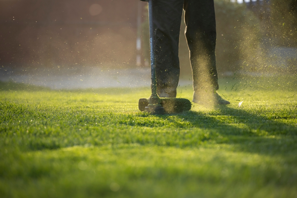 best lawn care company best lawn care company