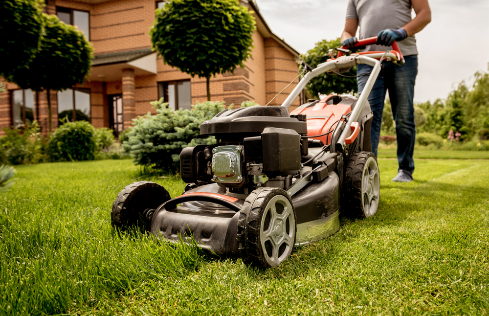 lawn care tips lawn care tips