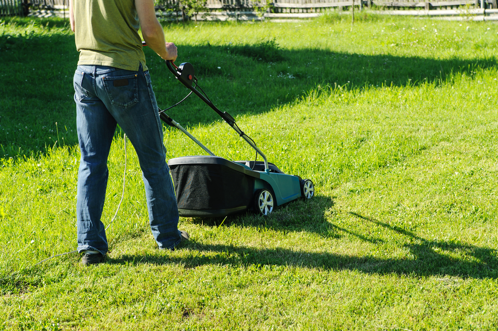 lawn care tips lawn care tips