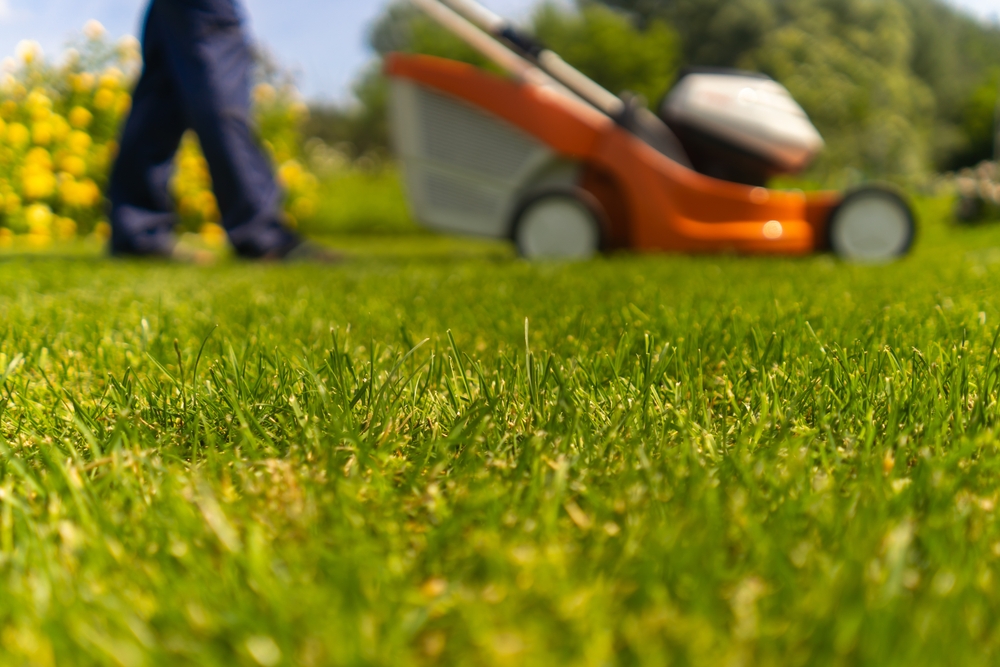 residential lawn mowing residential lawn mowing