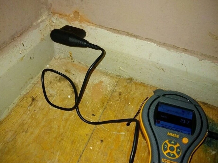 Damp meter