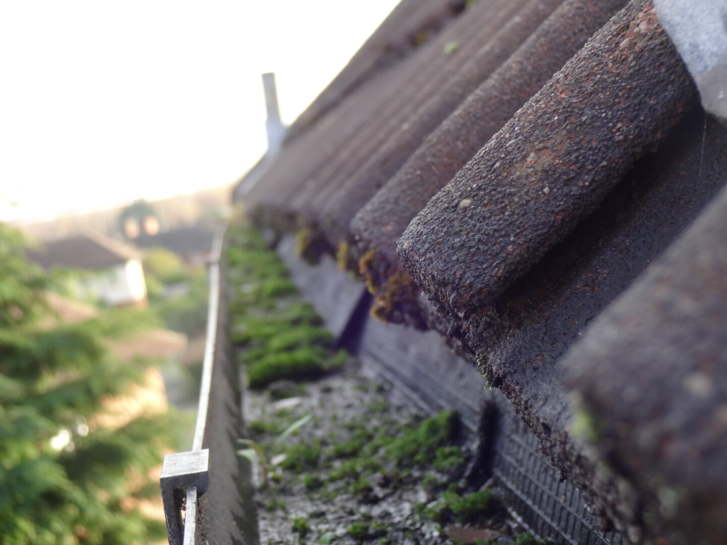 Drone and roof level imagery