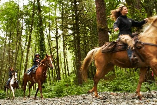 horse back riding muskoka