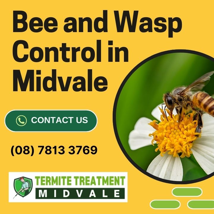 Discover expert bee and wasp control services in Midvale. Protect your home and garden with our effective solutions for a pest-free environment.