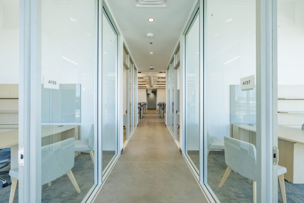 Bright modern Arizona office interior with natural light, clean lines, and green plants creating a calm, fresh atmosphere Bright modern Arizona office interior with natural light, clean lines, and green plants creating a calm, fresh atmosphere