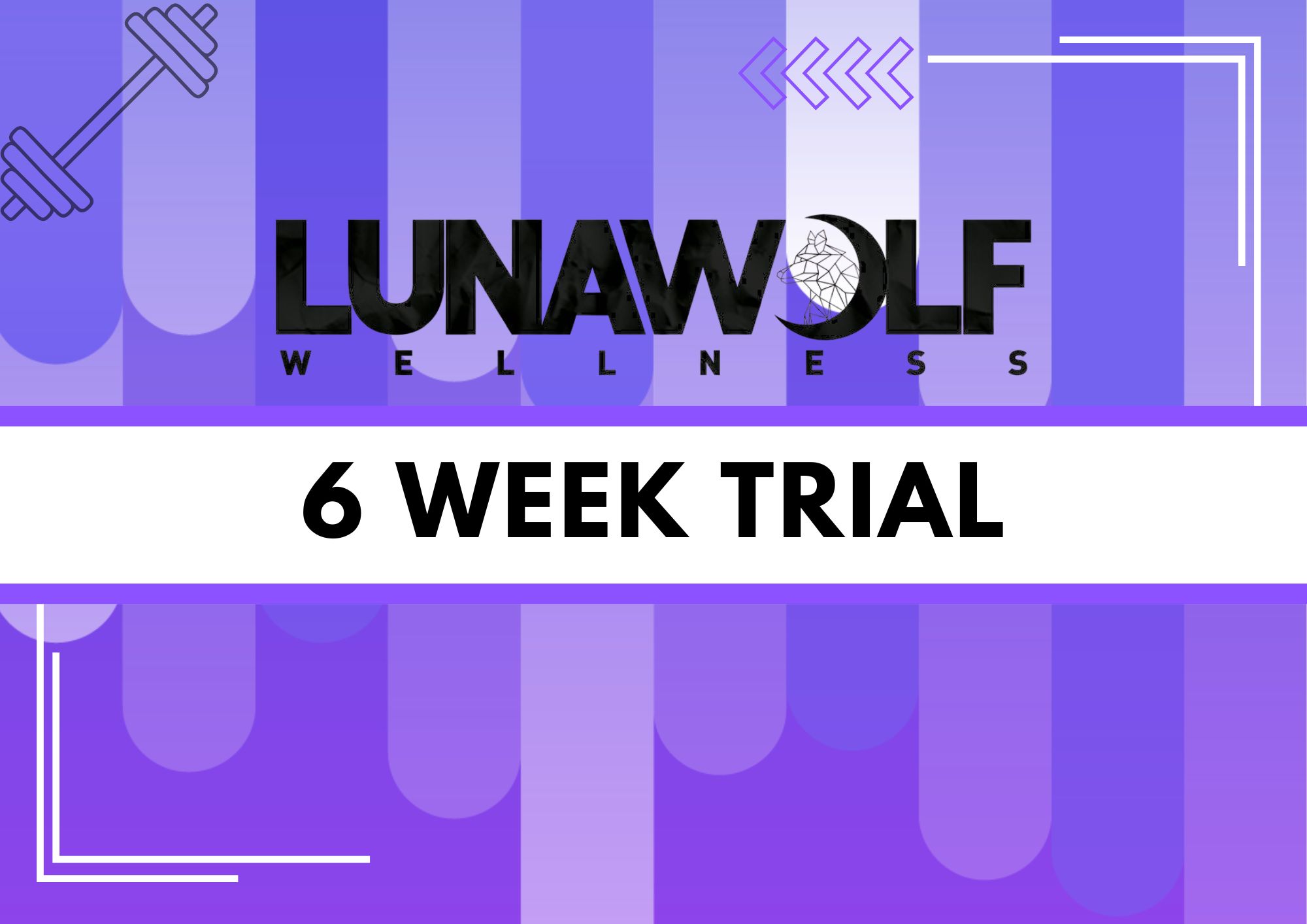 6 Week ELEVATE - Luna Wolf Wellness HQ