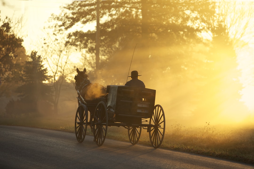 Horse pulling cart