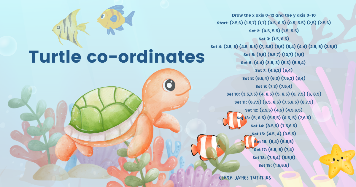 Create a turtle with co-ordinates