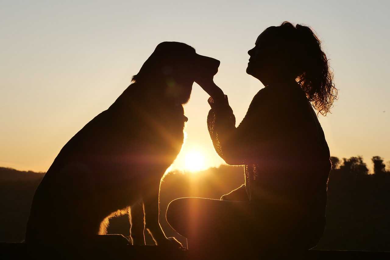 Create a Cozy, Safe Space for Your Pets
