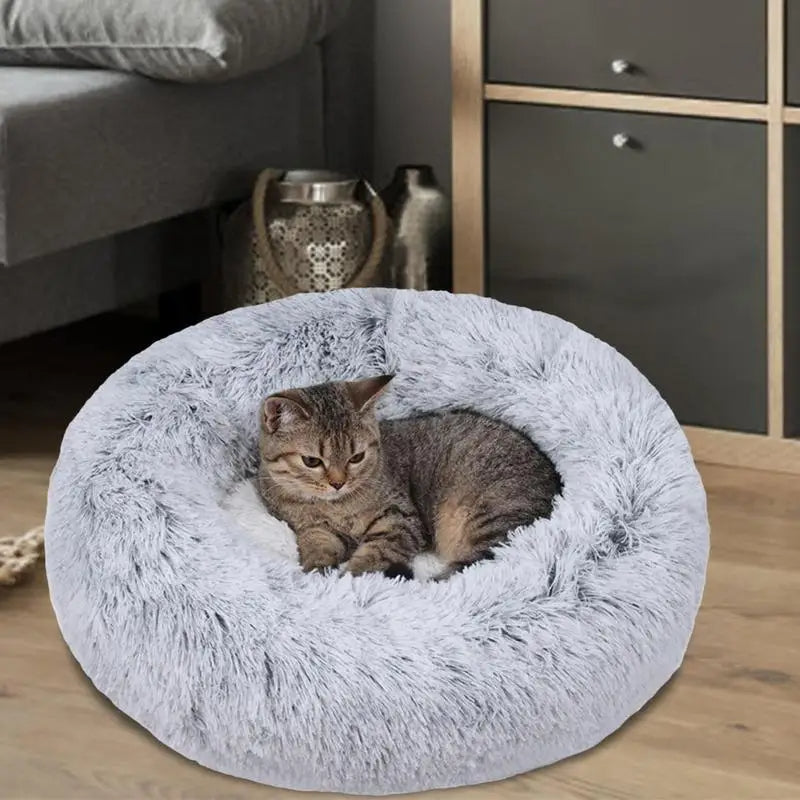 @catbed