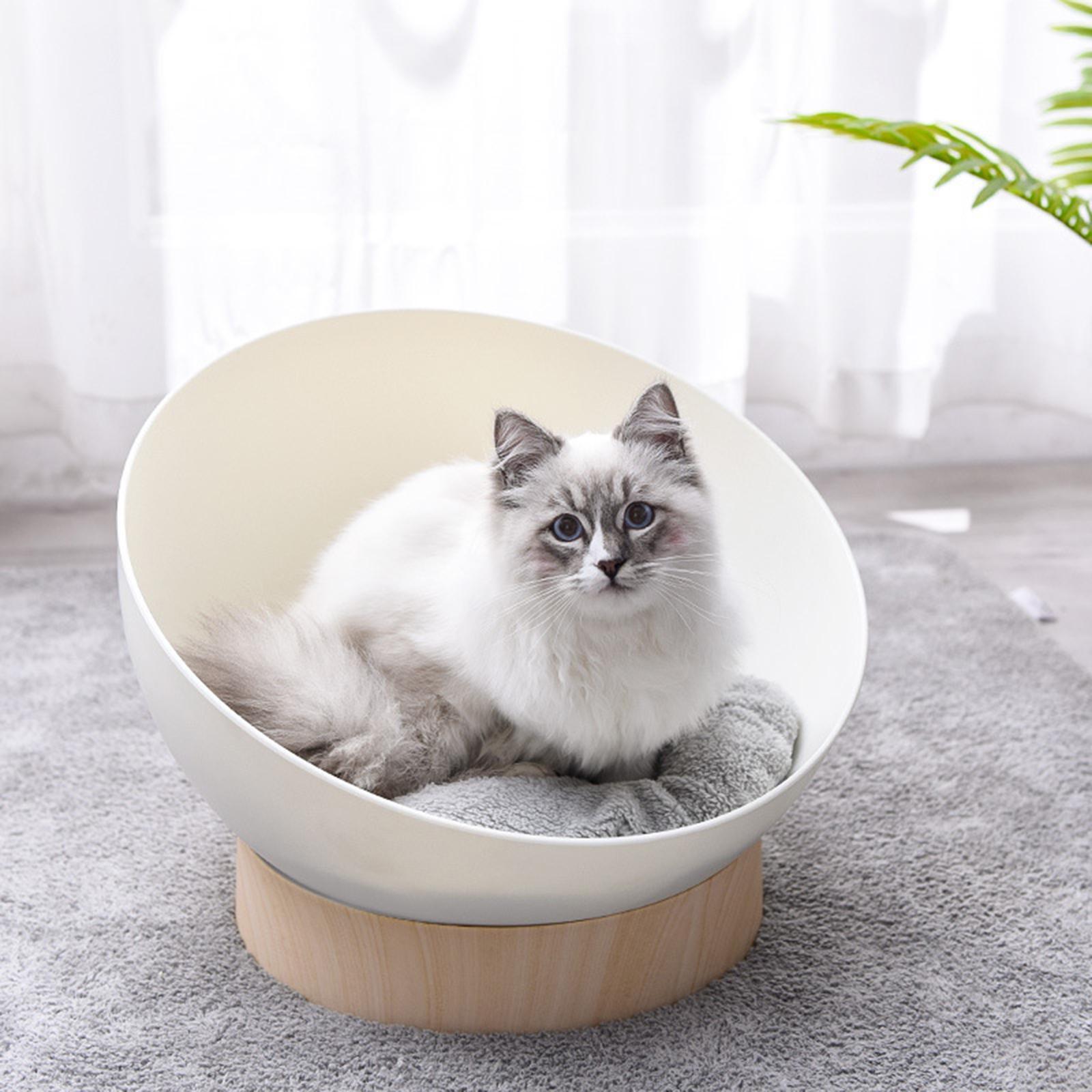 #catbed