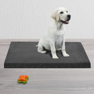 @dogbed