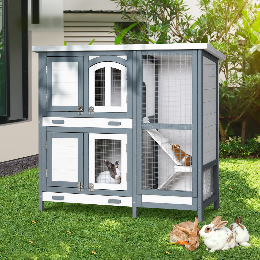 Pet Palace for Small Animals