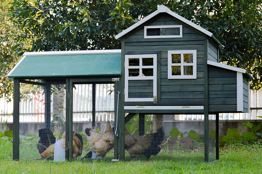 Large Pet Palace