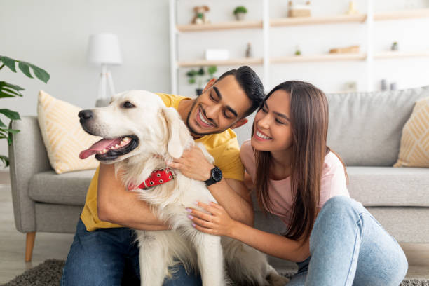 dog and its family