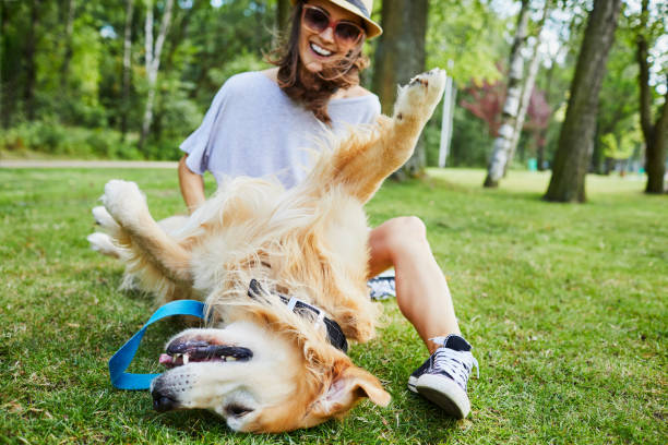 Dog in the park