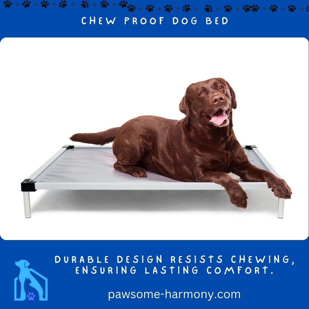Dog on Chew Proof Dog Bed
