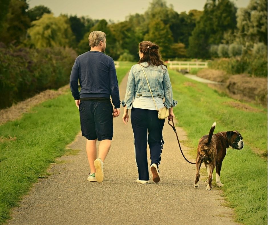 walking dog