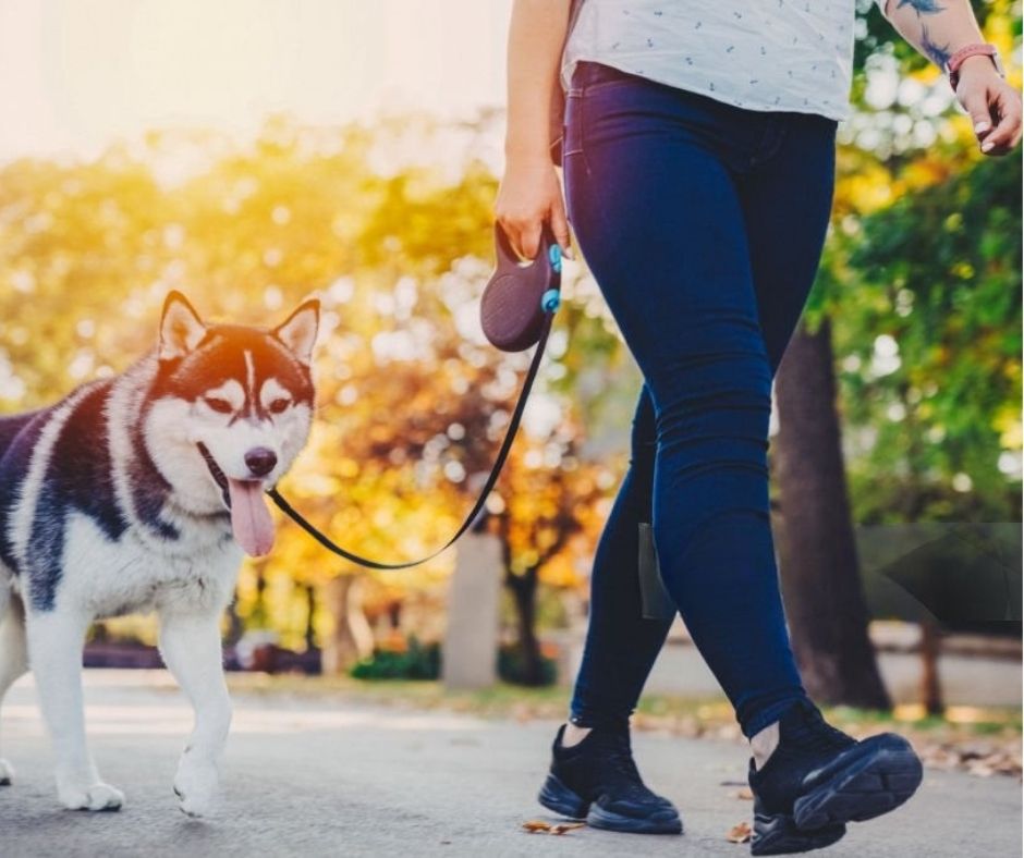 walking the dog