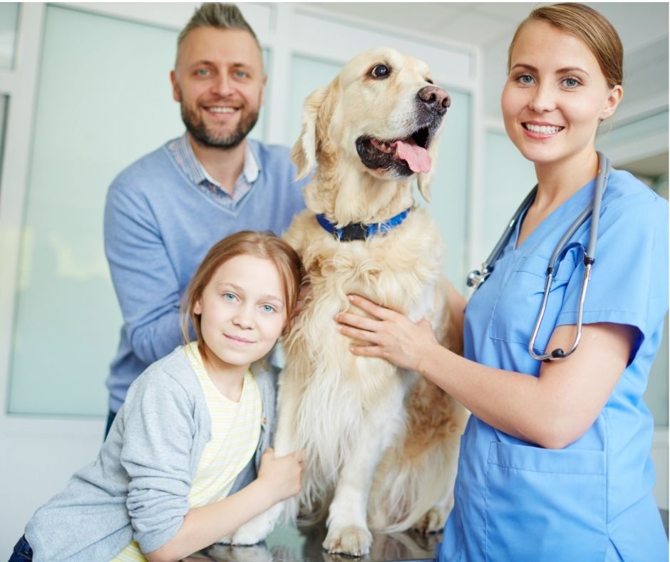 Vets