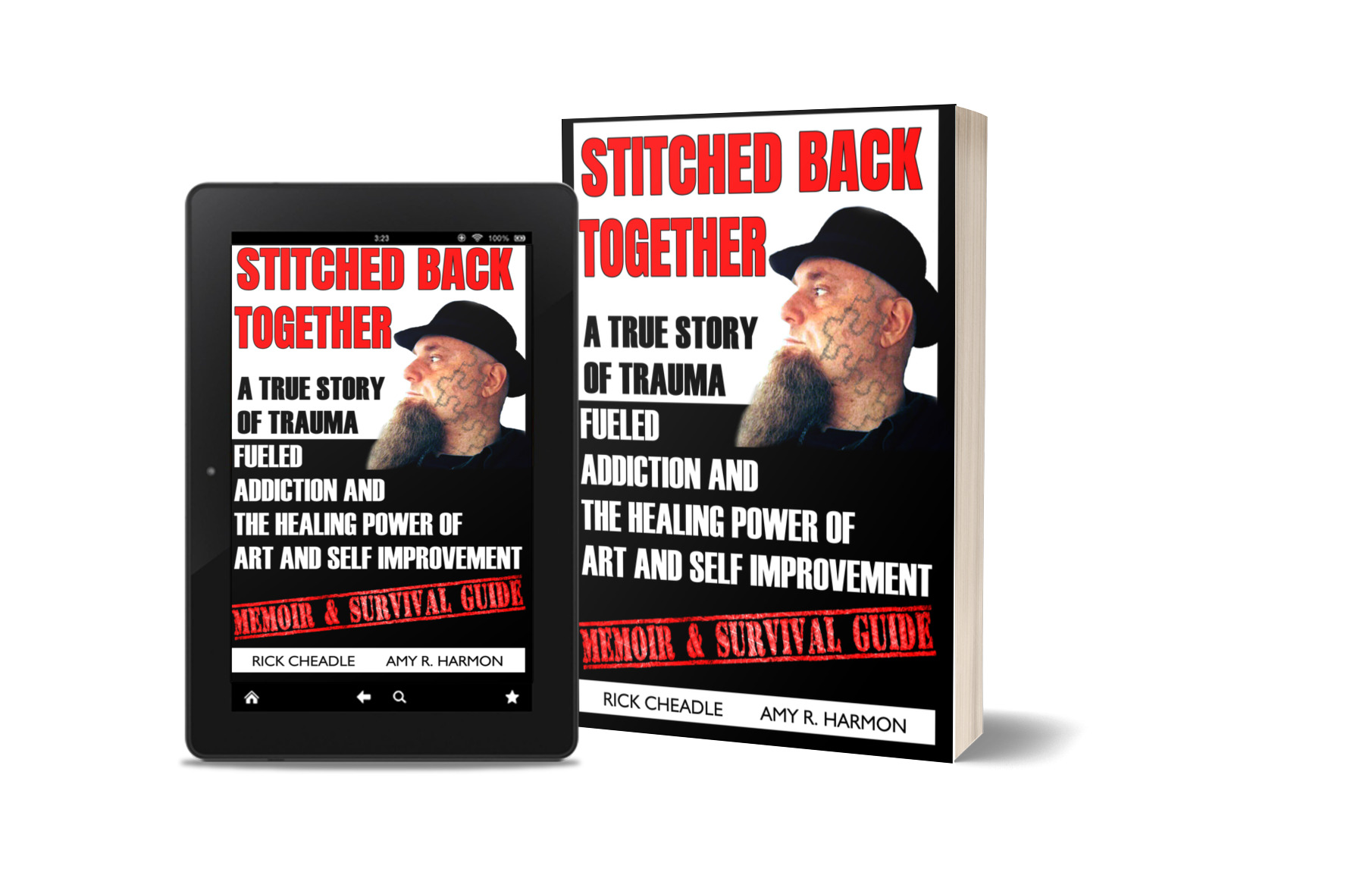 Stitched Back Together,  Memoir and Survival Guide, Winning the battle against addiction