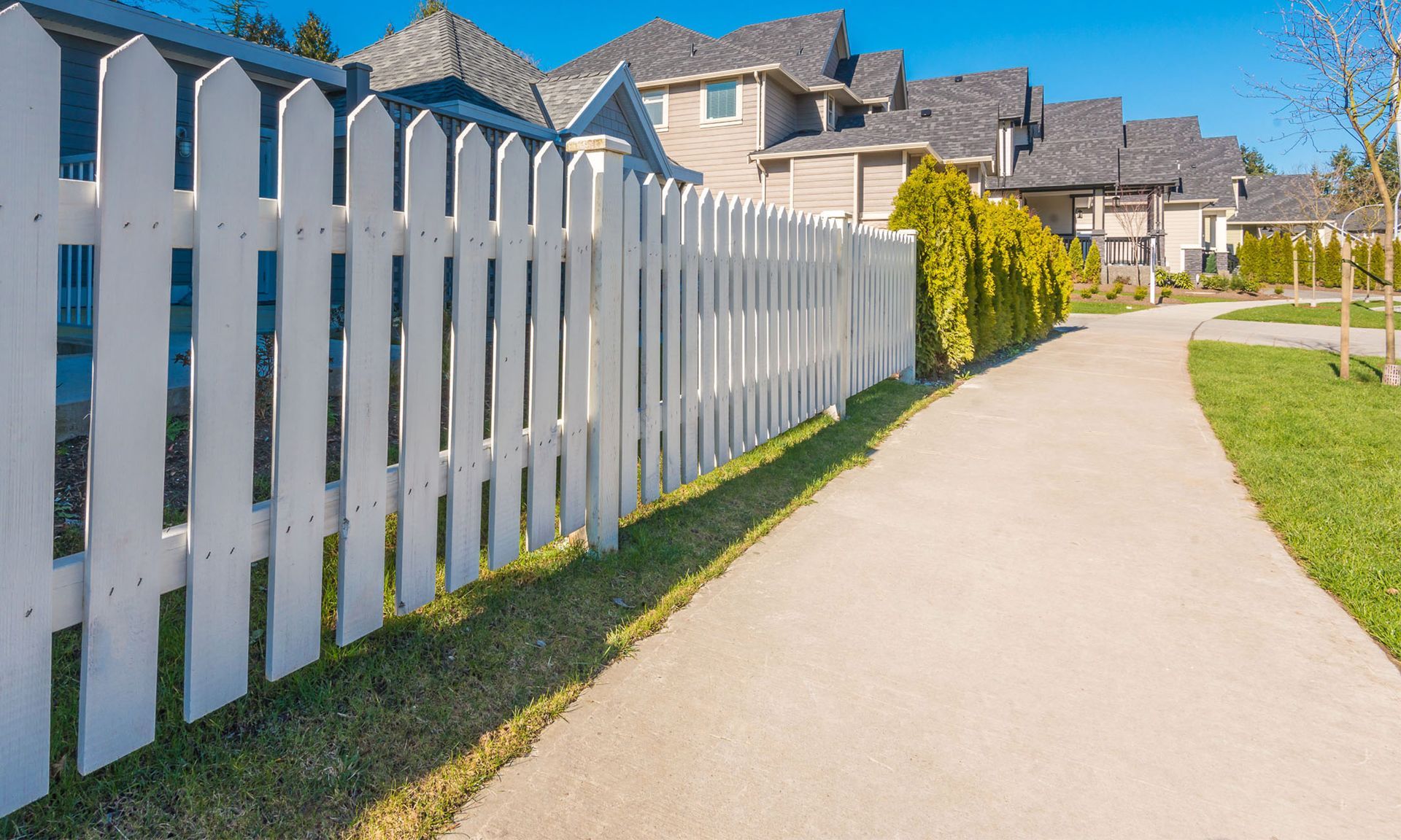 Beautiful Landscaping with Paver Walkway