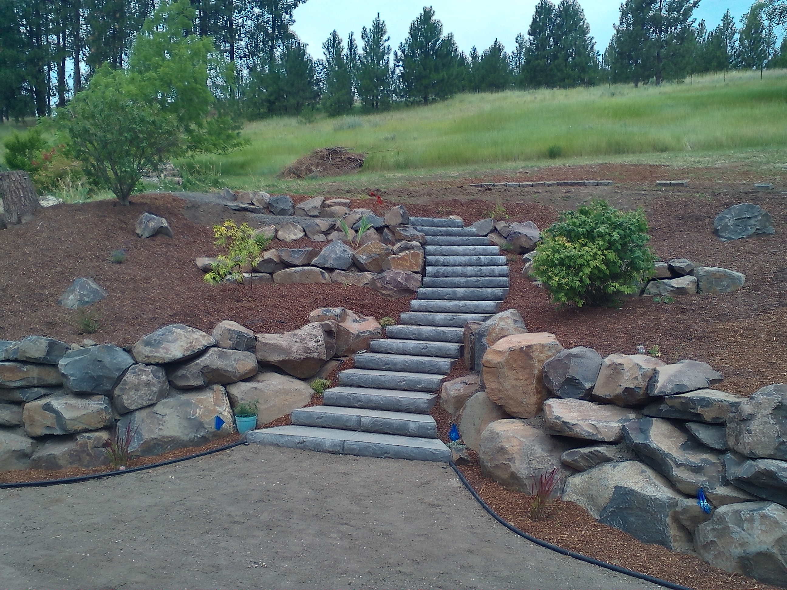 Premium Landscape Design