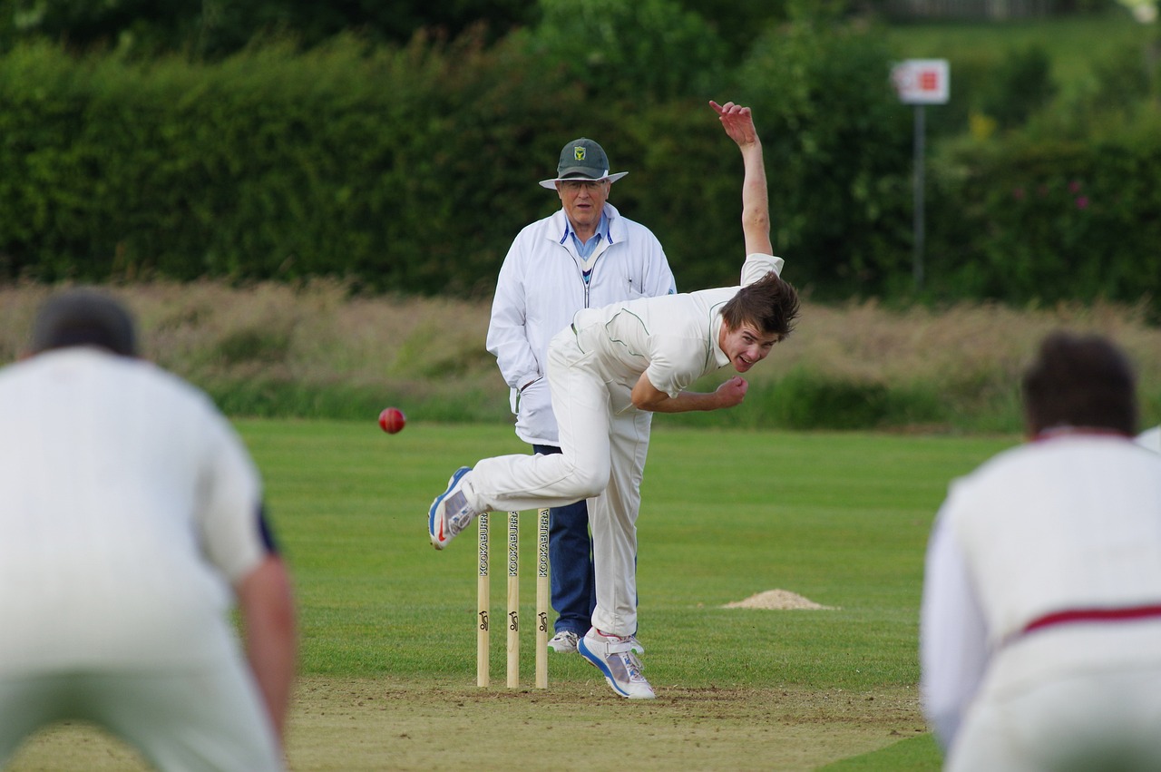 Boost endurance for cricket