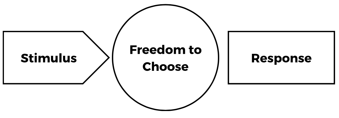 Image of the Stimulus - Response Model