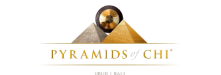 Logo 7