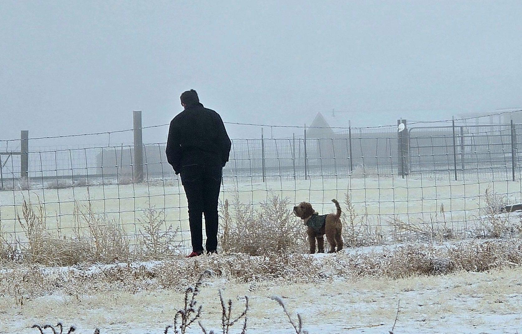 A Boy and His Dog A Boy and His Dog