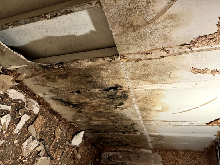 Mold prevention in home