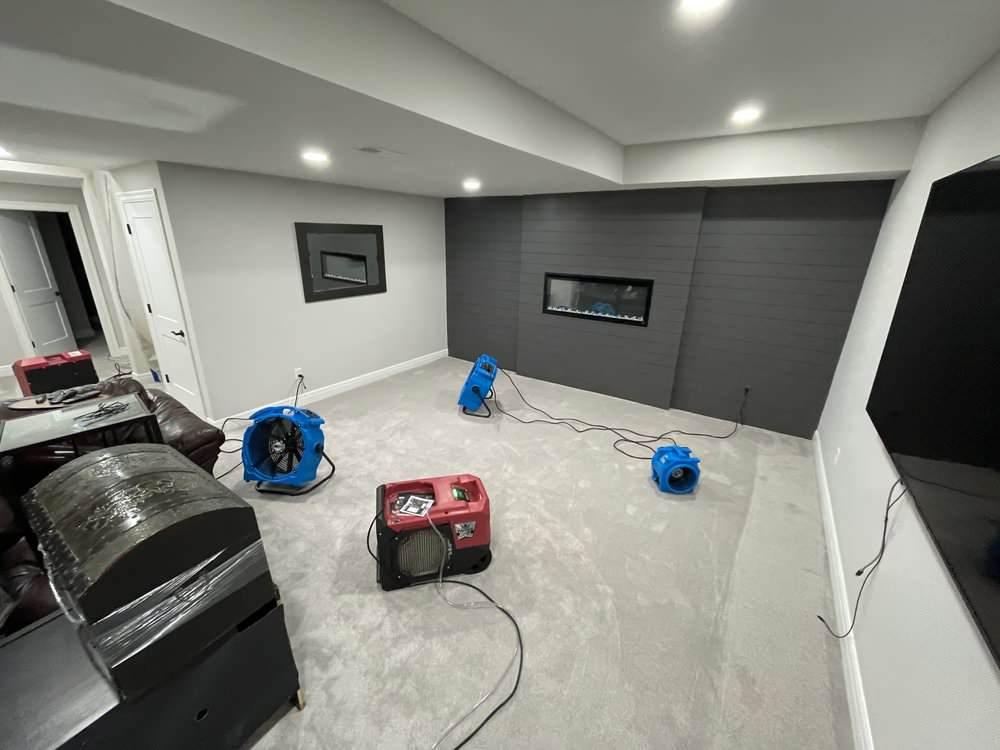 Mold prevention in home