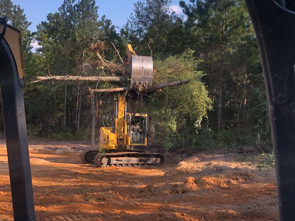 Land Clearing & Tree Removal