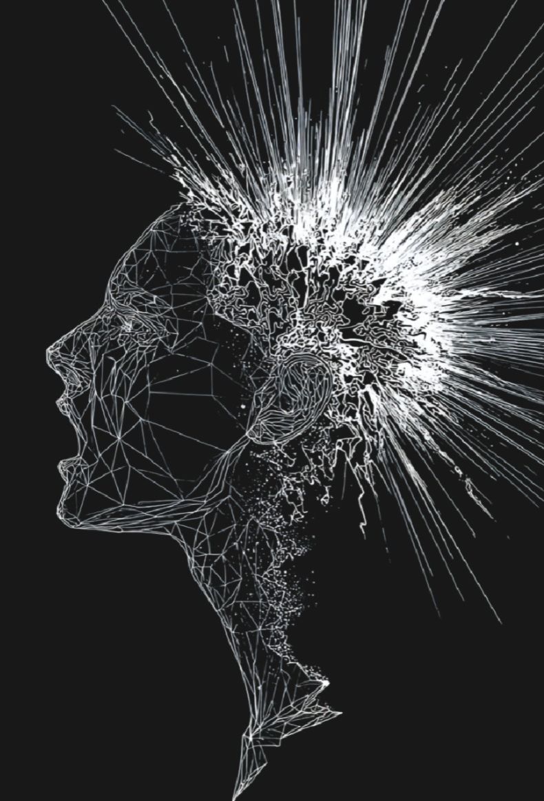 neuroplasticidad neurociencia neuroplasticidad neurociencia