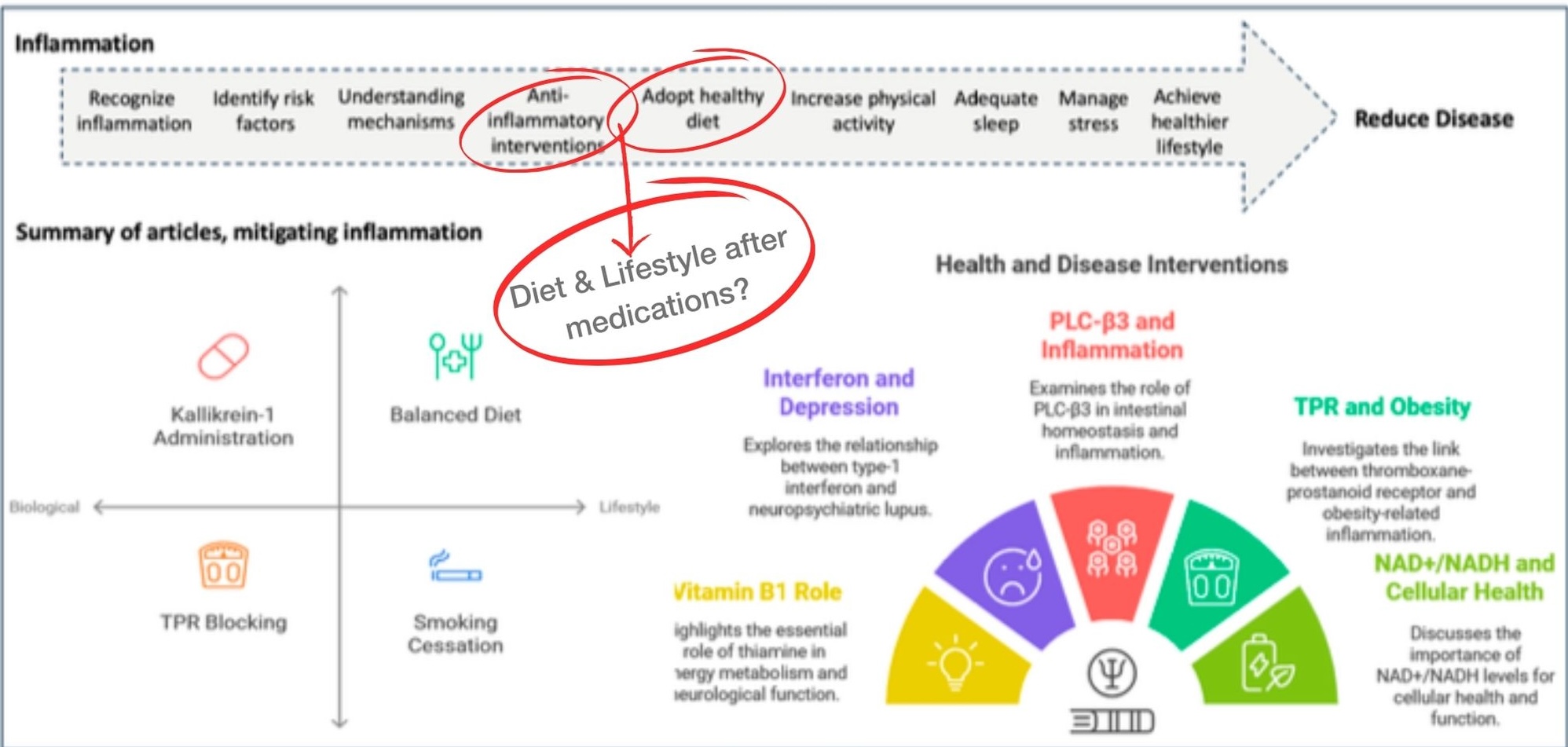 This figure comes from the Cells editorial, “Inflammation: The Cause of All Diseases,” and it summarizes various interventions for mitigating chronic inflammation—ranging from pharmaceuticals (e.g., kallikrein-1 administration, TPR blocking) to lifestyle measures (e.g., balanced diet, smoking cessation). Notice that dietary changes and other lifestyle shifts appear after medical interventions, reflecting the editorial’s stance that medications often precede a “healthy diet” in the standard treatment hierarchy. Our perspective at Optimal AF is that Food First should be the foundation of inflammation management—rather than the fallback. This figure comes from the Cells editorial, “Inflammation: The Cause of All Diseases,” and it summarizes various interventions for mitigating chronic inflammation—ranging from pharmaceuticals (e.g., kallikrein-1 administration, TPR blocking) to lifestyle measures (e.g., balanced diet, smoking cessation). Notice that dietary changes and other lifestyle shifts appear after medical interventions, reflecting the editorial’s stance that medications often precede a “healthy diet” in the standard treatment hierarchy. Our perspective at Optimal AF is that Food First should be the foundation of inflammation management—rather than the fallback.