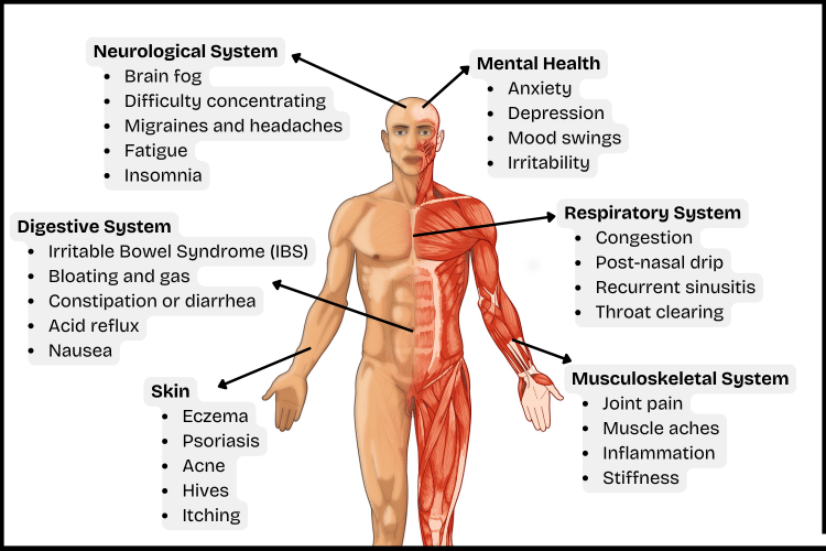 Illustration of a human body with labeled symptoms of food sensitivities affecting multiple systems—neurological, digestive, skin, respiratory, musculoskeletal, and mental health. Illustration of a human body with labeled symptoms of food sensitivities affecting multiple systems—neurological, digestive, skin, respiratory, musculoskeletal, and mental health.