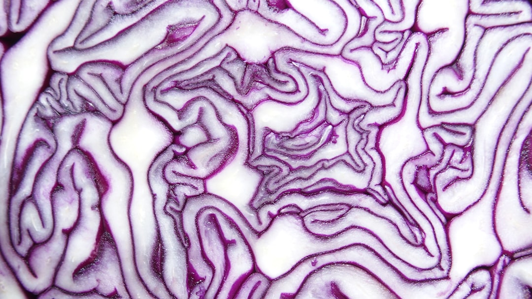 Illustration of the gut-brain connection, highlighting how microbes in the gut influence brain health and behavior, emphasizing the role of the microbiome in mood regulation and cognitive function Illustration of the gut-brain connection, highlighting how microbes in the gut influence brain health and behavior, emphasizing the role of the microbiome in mood regulation and cognitive function