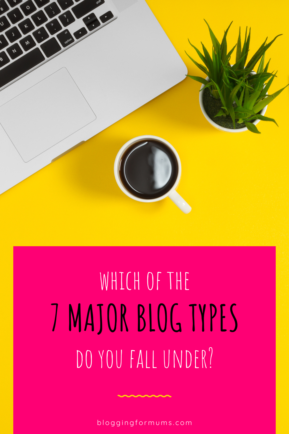 which of the 7 major blog types do you fall under