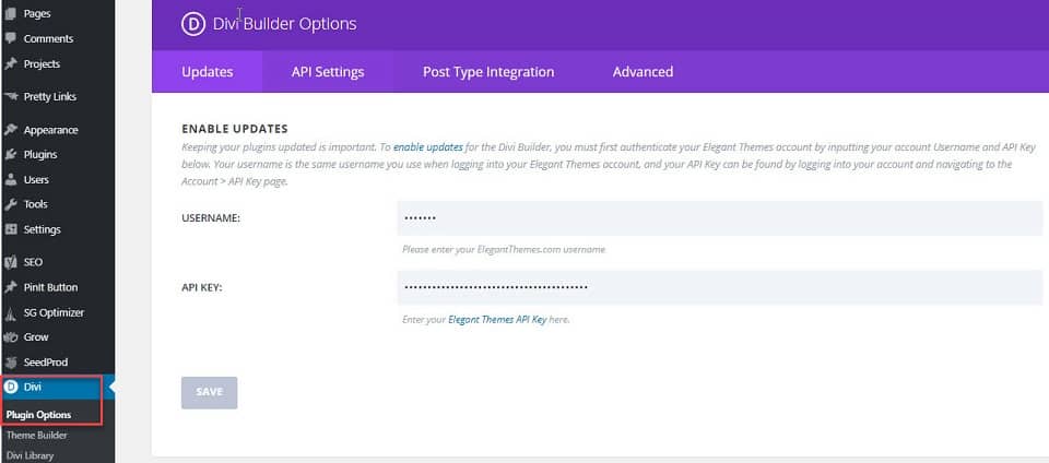 divi builder options