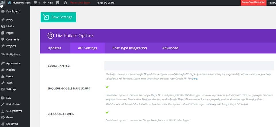 api settings for divi