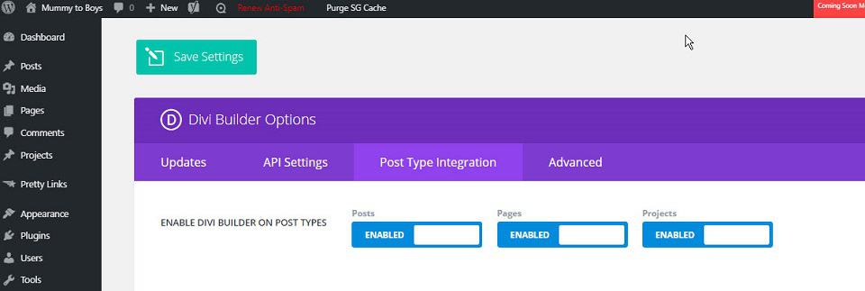 divi post type integration