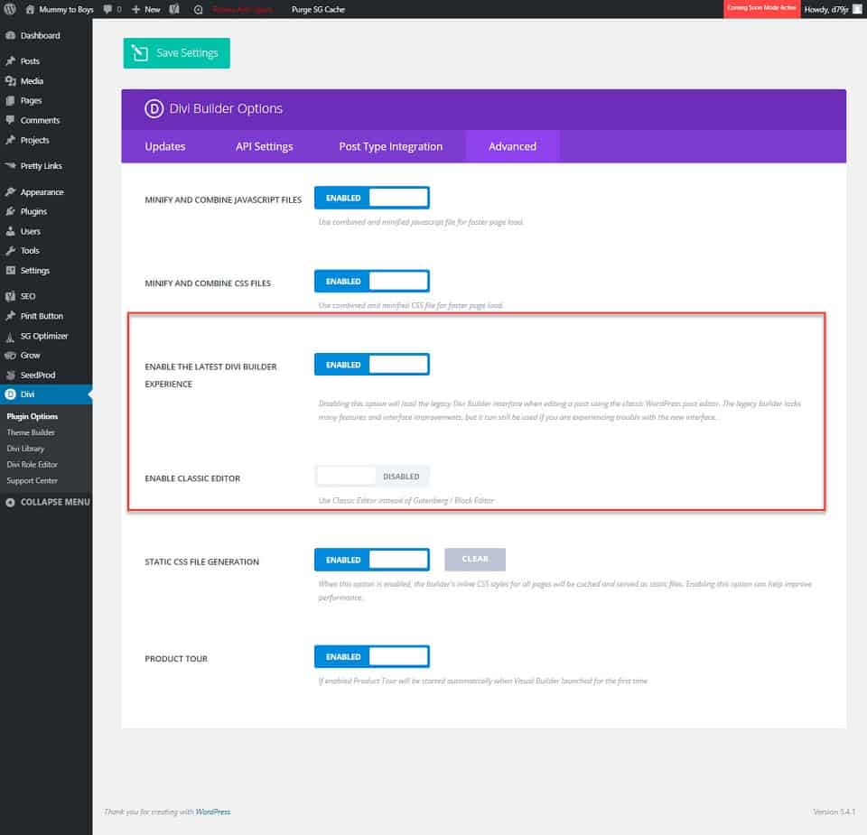 how to use the divi theme advanced settings